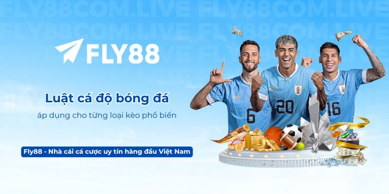 Luật cá độ bóng đá áp dụng cho từng loại kèo phổ biến