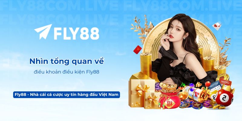 Nhìn tổng quan về điều khoản điều kiện Fly88